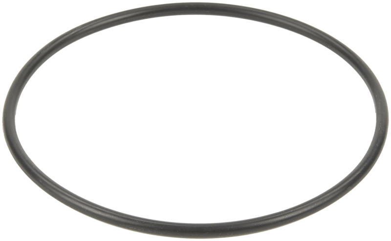 Bosch Fuel Pump Tank Seal