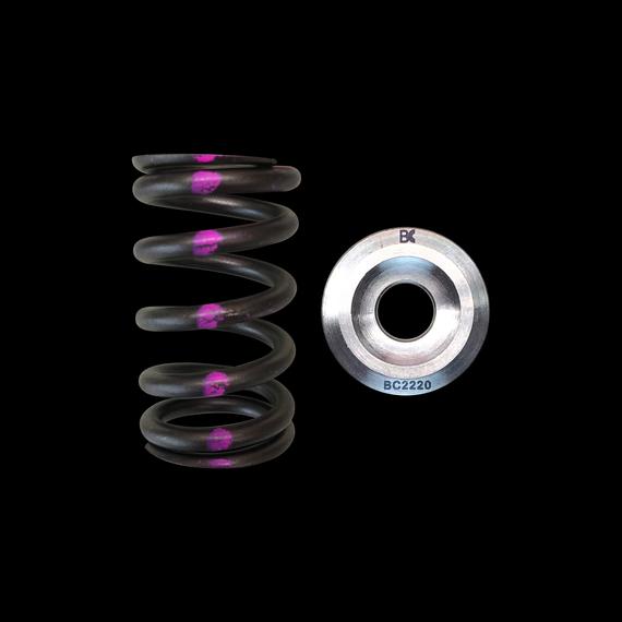 Nissan QR25DE Single Spring/Titanium Retainer Kit | BC