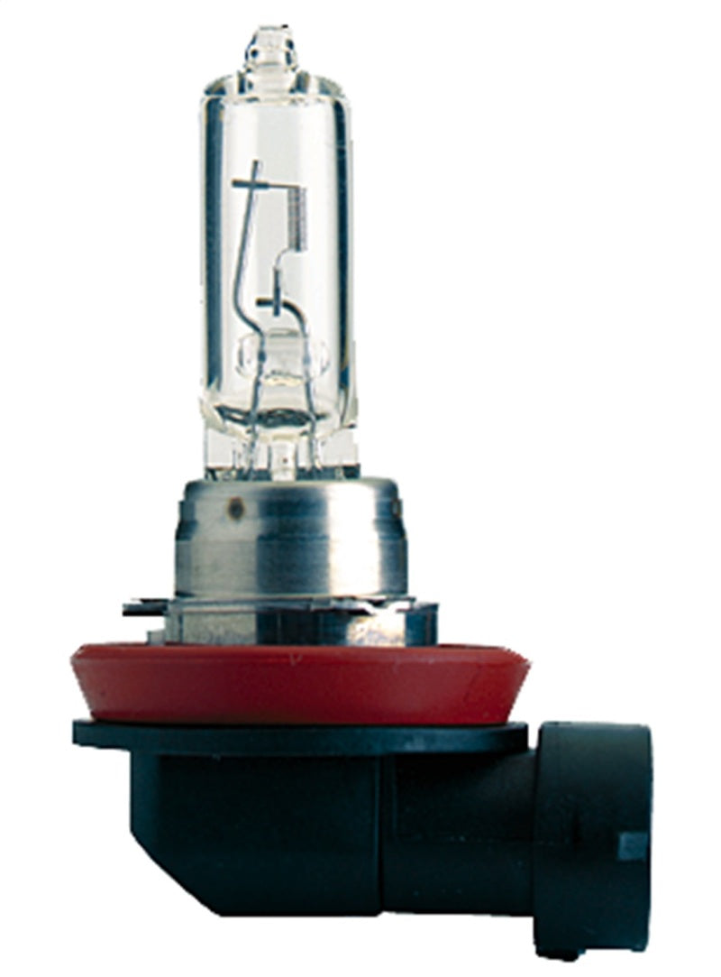 Hella H9 12V/65W Haologen Single Bulb