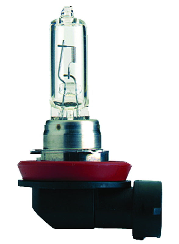 Hella H9 12V/65W Haologen Single Bulb